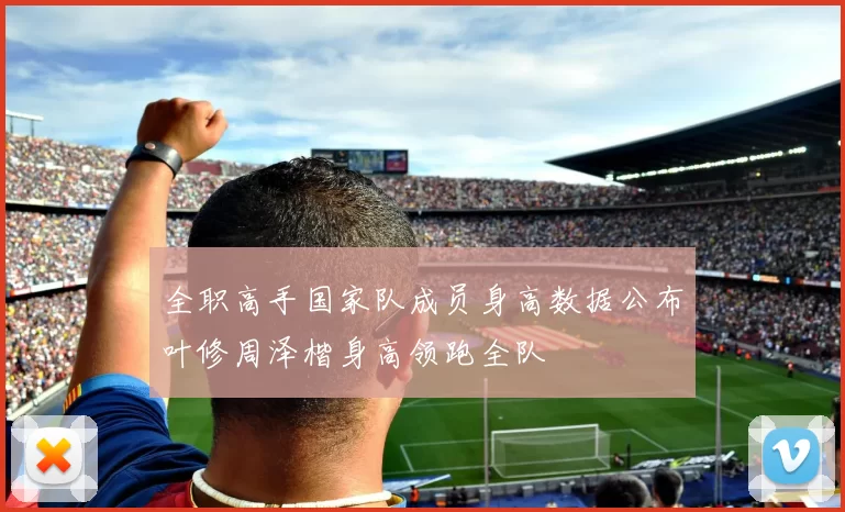 全职高手国家队成员身高数据公布叶修周泽楷身高领跑全队