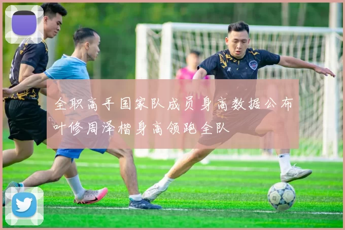 全职高手国家队成员身高数据公布叶修周泽楷身高领跑全队