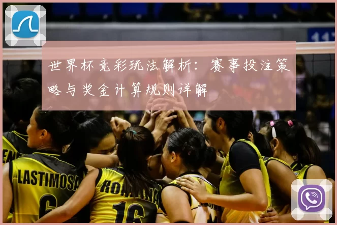 世界杯竞彩玩法解析：赛事投注策略与奖金计算规则详解