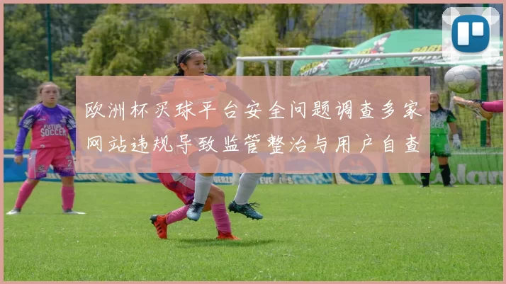 欧洲杯买球平台安全问题调查多家网站违规导致监管整治与用户自查