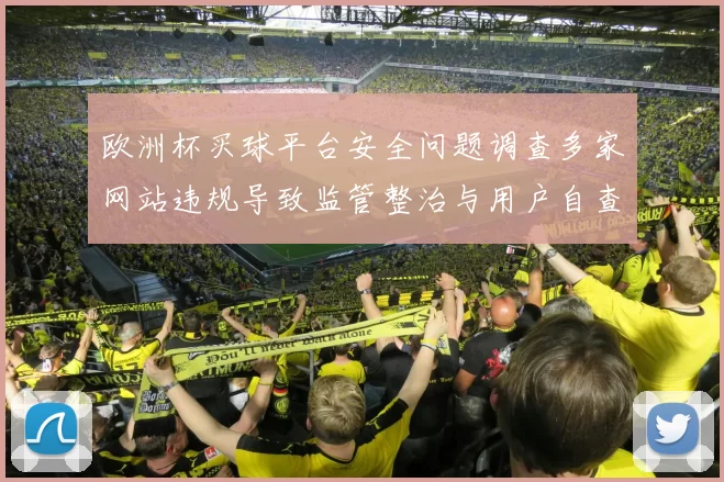 欧洲杯买球平台安全问题调查多家网站违规导致监管整治与用户自查