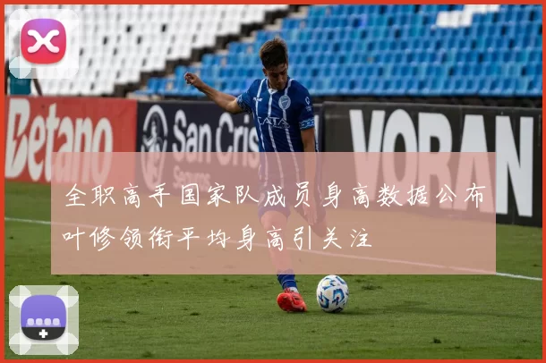 全职高手国家队成员身高数据公布叶修领衔平均身高引关注