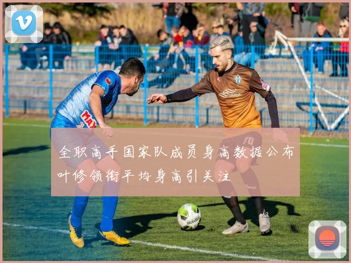 全职高手国家队成员身高数据公布叶修领衔平均身高引关注